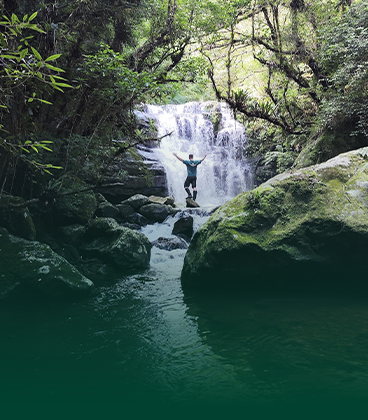 Lindas Cascatas mais Experiência de Vindima na Vinicula Ligabue