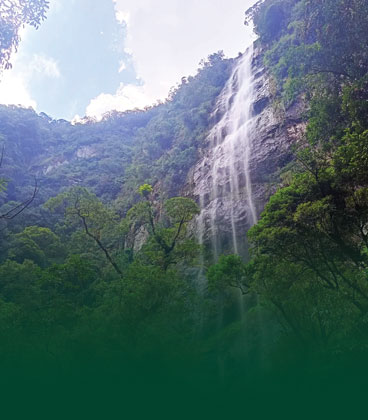 Trilha Cascata da Nascente do Rio dos Sinos