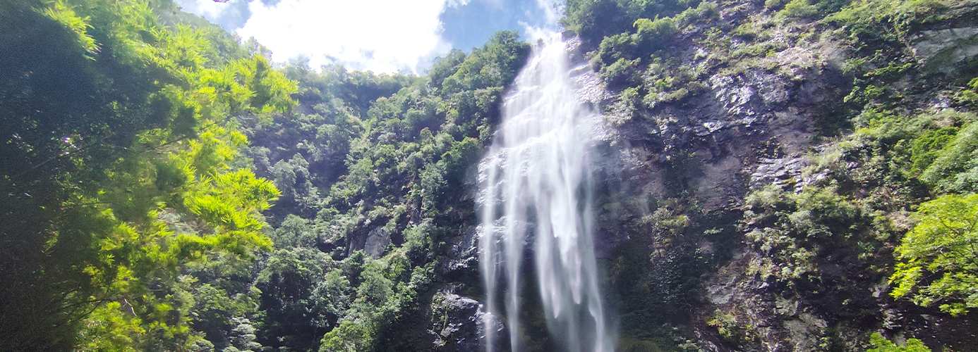 Trilha da Cascata da Nascente do Rio dos Sinos - Caraá/RS